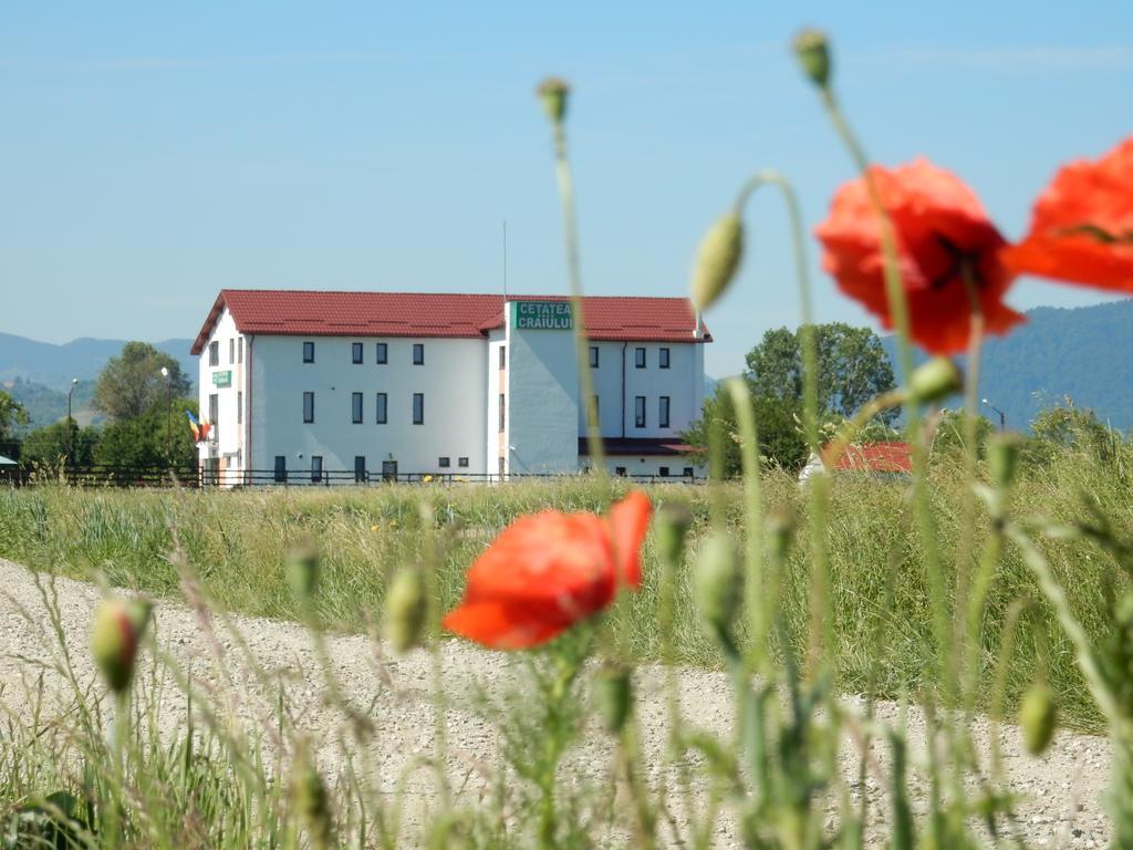 Pensiunea Cetatea Craiului Rîşnov Buitenkant foto