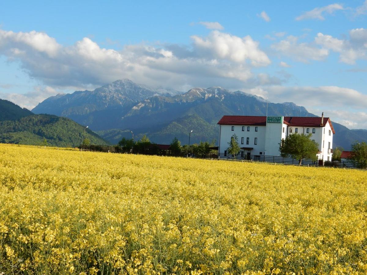 Pensiunea Cetatea Craiului Rîşnov Buitenkant foto