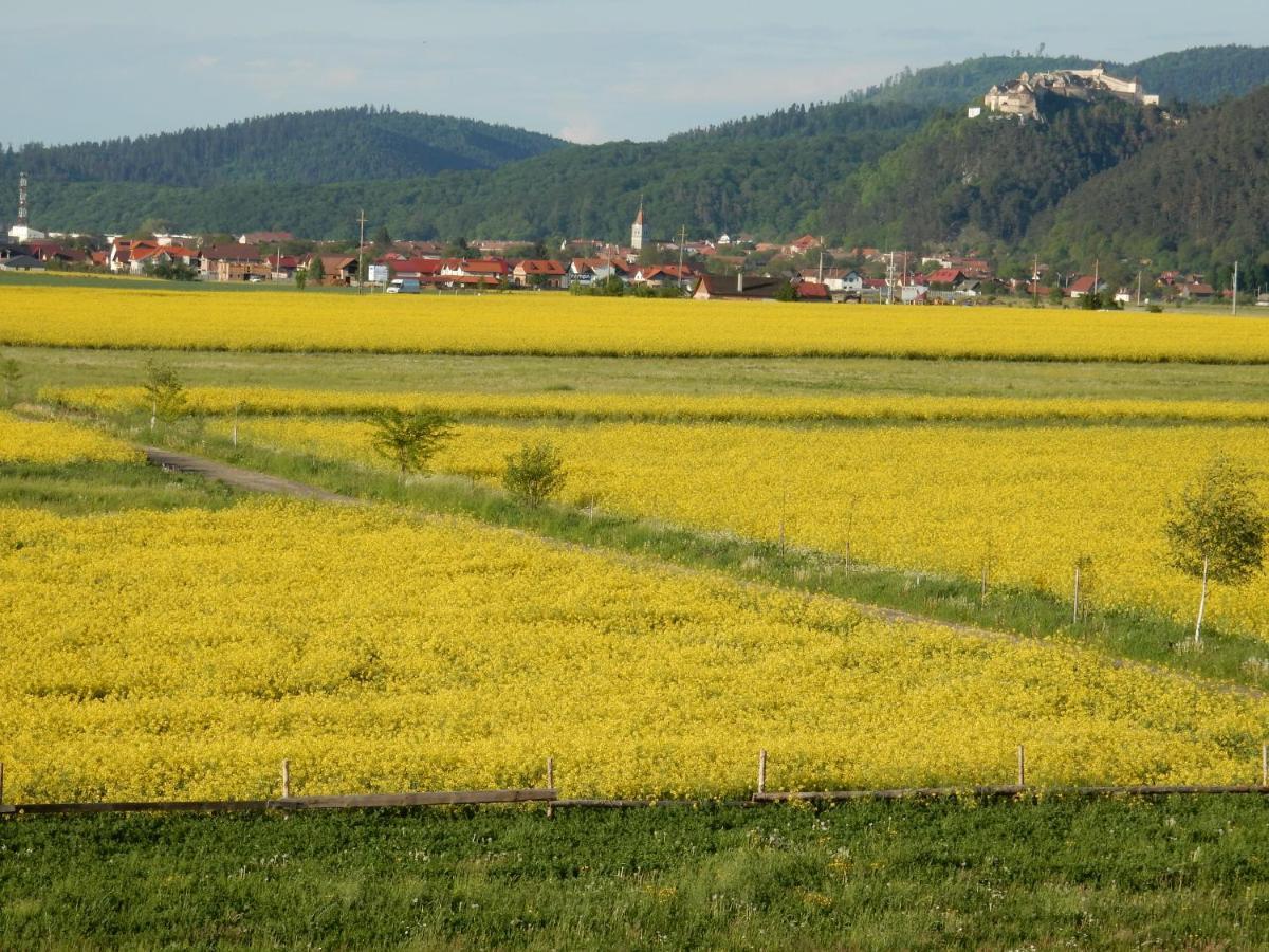 Pensiunea Cetatea Craiului Rîşnov Buitenkant foto